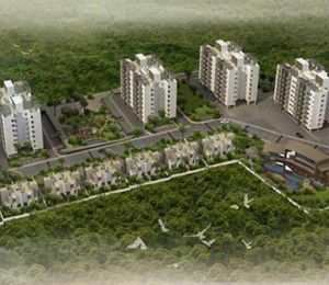 Alcon Sukhwani Rainforest
