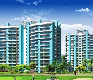 Aims Golf City