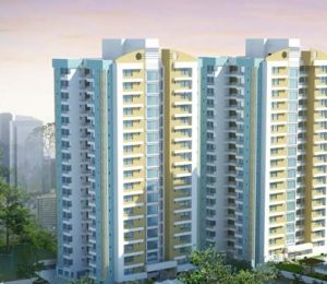 Greencity Orchid