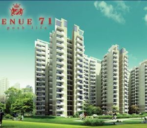 Avenue 71