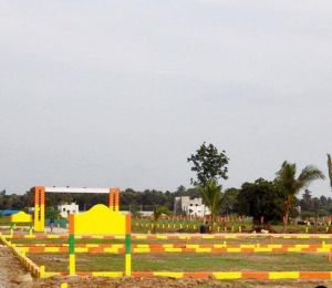 Green Avenue