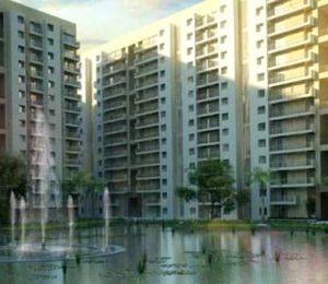 Emami City