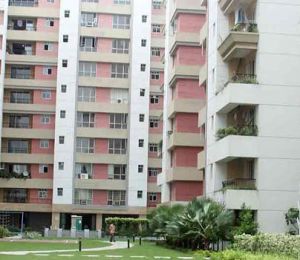 Siddha Pines