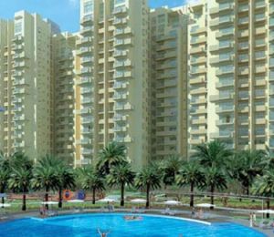 Premier Terrace