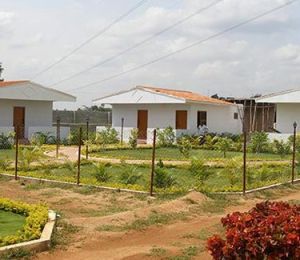 AVC Township Sector VI
