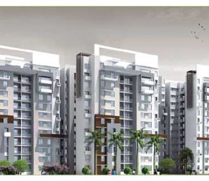 Lotus Boulevard