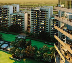 Ireo Skyon
