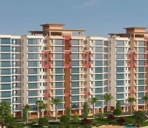 AVL 36 Gurgaon