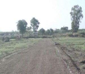 Aarohi Aster Valley