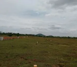 Manju Amish