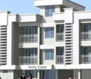 Hi Life Ivory Crest