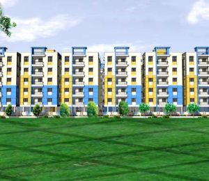 Navya NuLife