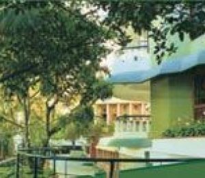 Bearys Orchard Green