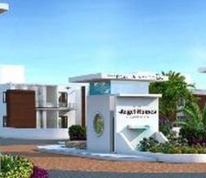 Angel Homes