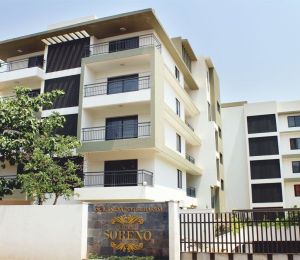 Legacy Soreno