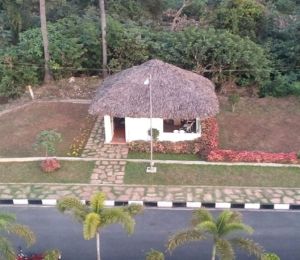 Navin Patra Aaranya