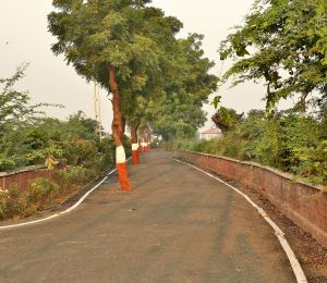 Maruti Celosia Greenscapes 2