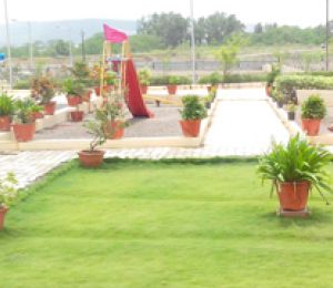 Bhandari Belleza