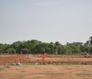 ABI Best Park