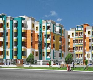 AHFL CC Majestic Enclave