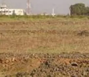 Pushkar Expression