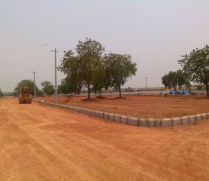 Pushkar Gold Pipla