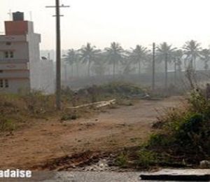 Bhoomika Paradise