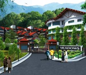 Meadows