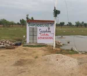 Sanjeevni Sapphire