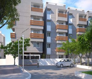 Columbia Peepal Tree