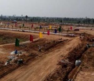 Modi Golden Meadows