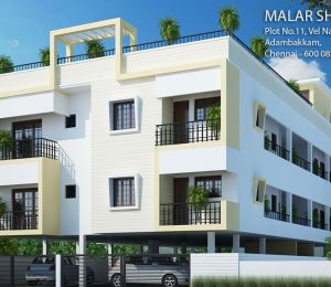 Malar Shamrock