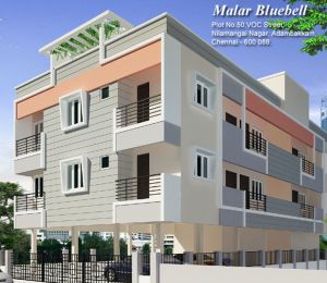Malar Bluebell