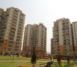 Gaursons Gaur Grandeur