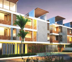 Bhoomi Cotton Tree