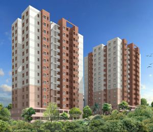 Oceanus Green Valley