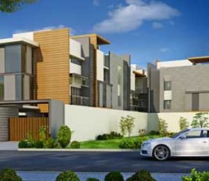 Kay Arr And Co Dhanraj Kay Arr Napa Valley