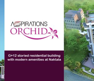 Aspirations Orchid