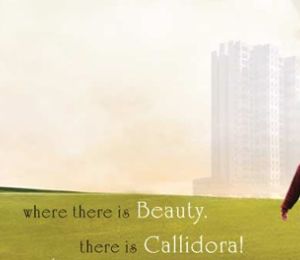 Today Homes Callidora