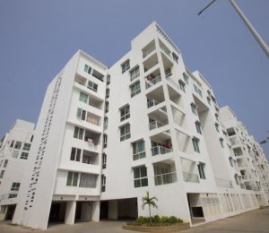 TVH Taus
