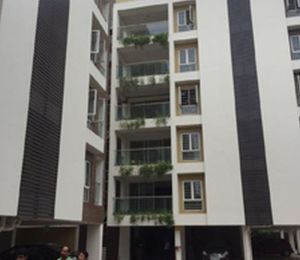 KIC Gulmohar