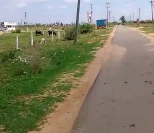 GSRK Green Hills Township