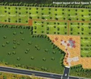 Greenovation Soul Space