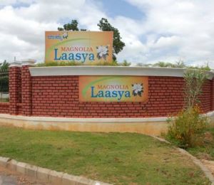 Magnolia Lasya