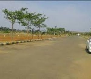 NSR Alankrita 2