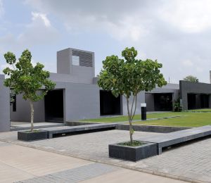 Suryam Flora