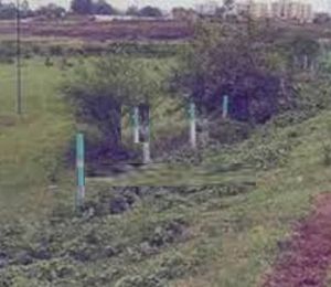 Essarjee Royale