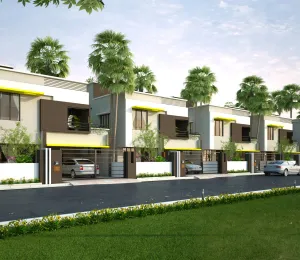 Panda Gatikrushna Green