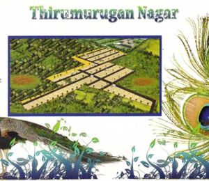 Thirumurugan Nagar