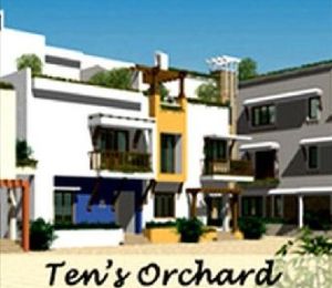 Tens Orchards